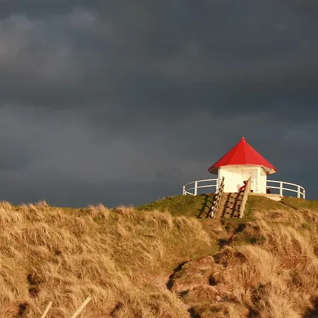 De Tulp Aan Zee Bed & Breakfast De Haan