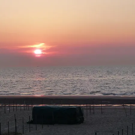 De Tulp Aan Zee De Haan