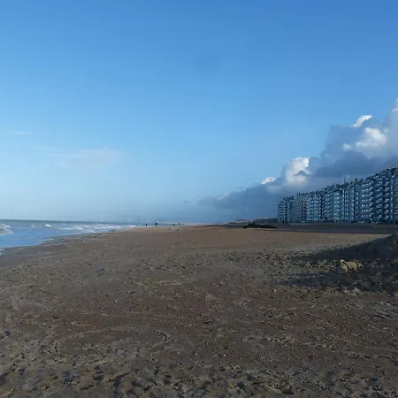 De Tulp Aan Zee Bed & Breakfast