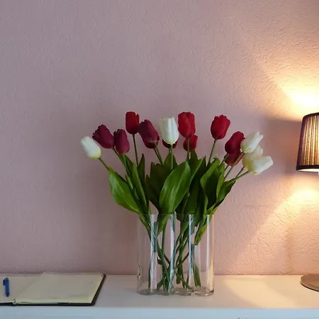 De Tulp Aan Zee Bed & Breakfast *