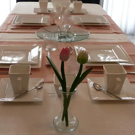 De Tulp Aan Zee * De Haan