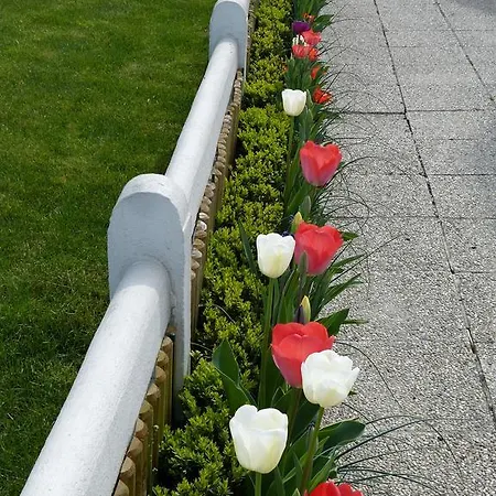 Bed & Breakfast De Tulp Aan Zee